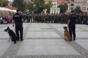 Pokazy policyjnych psów na płycie chełmińskiego Rynku