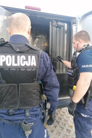 policjanci stojący za radiowozem, podczas czynności z zatrzymanym mężczyzną