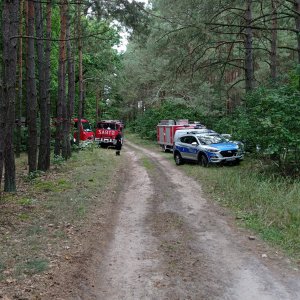 wozy bojowe i radiowóz stoją przy drodze leśnej