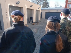 uczniowie obserwują pokaz pracy z psem służbowym