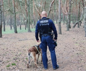 przewodnik policyjnego psa tropiącego w trakcie poszukiwania człowieka w lesie