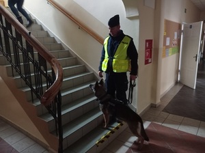 policjant stoi na schodach