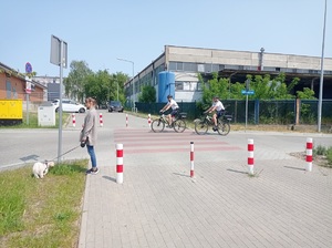 policjanci na rowerach jadą ulicą