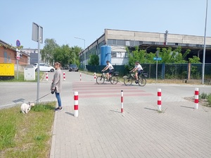 policjanci jada na rowerach