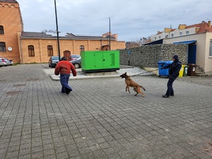 uczniowie klas maturalnych uczestniczą w dniach otwartych w komendzie policji