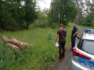 policjant i leśniczy stoją w lesie przy radiowozie